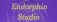 endorphin-studio logo.jpg